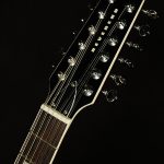 Wildwood-Exclusive Airwave 12-String