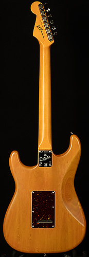 Artist Series Michael Landau Coma Stratocaster