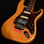 Artist Series Michael Landau Coma Stratocaster