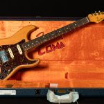 Artist Series Michael Landau Coma Stratocaster