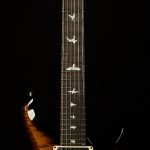 Limited Edition 10th Anniversary S2 Custom 24