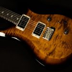 Limited Edition 10th Anniversary S2 Custom 24