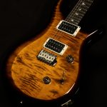 Limited Edition 10th Anniversary S2 Custom 24