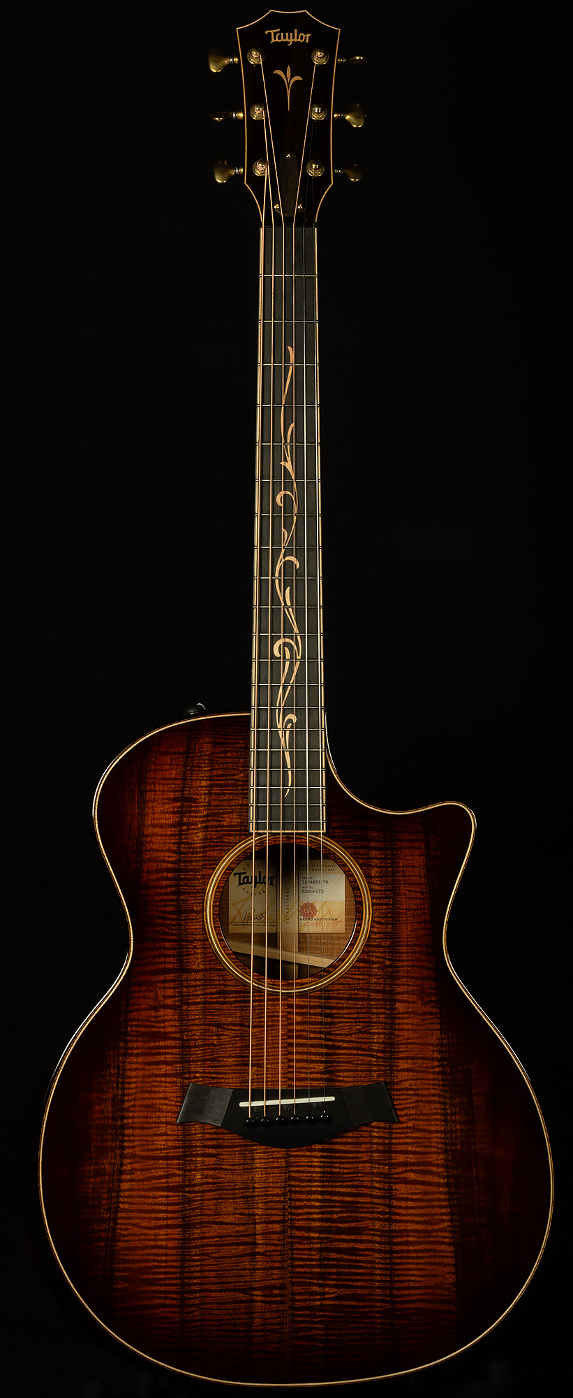 Taylor Acoustic Guitars