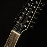 Wildwood-Exclusive Airwave 12-String