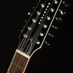 Wildwood-Exclusive Airwave 12-String