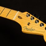 American Professional II Stratocaster