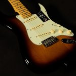 American Professional II Stratocaster