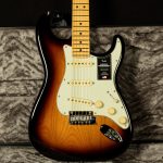 American Professional II Stratocaster