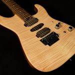 Guthrie Govan USA Signature HSH