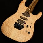 Guthrie Govan USA Signature HSH