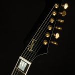 Firebird Custom - Gloss