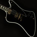 Firebird Custom - Gloss