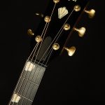 2024 Taylor Guitars 50th Anniversary C18e B4031