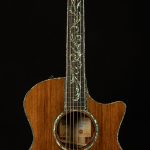 2019 Taylor Guitars PS14ce