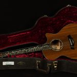 2019 Taylor Guitars PS14ce