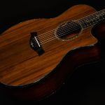 2019 Taylor Guitars PS14ce