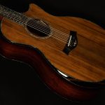 2019 Taylor Guitars PS14ce