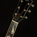 2001 Taylor Guitars Gallery Series Living Jewels GSLJ - #27 of 100