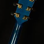 2001 Taylor Guitars Gallery Series Living Jewels GSLJ - #27 of 100