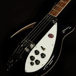 4005V Semi-Hollowbody Bass Reissue