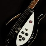 4005V Semi-Hollowbody Bass Reissue