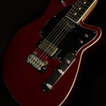 Reeves Gabrels Signature RG-SUS