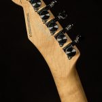 Greg Koch Signature Gristlemaster