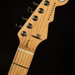 Greg Koch Signature Gristle ST