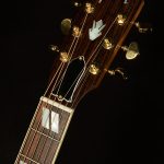 Songwriter Standard EC Rosewood