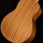 GS Mini Sapele