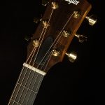 50th Anniversary GS Mini-e Rosewood SB LTD