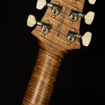 Wildwood Wood Library Modern Eagle V - Brazilian Rosewood, 10-Top