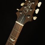 Wildwood Wood Library Modern Eagle V - Brazilian Rosewood, 10-Top