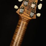 Wildwood Wood Library McCarty 594 - Brazilian Rosewood