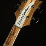 4005V Semi-Hollowbody Bass Reissue