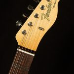 Wildwood 10 Postmodern Telecaster - Deluxe Closet Classic