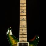 2016 PRS Guitars Wood Library Custom 24