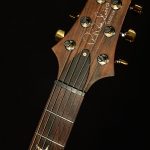 2003 PRS Guitars Limited Custom 24 10-Top - #313/500, Brazilian Rosewood