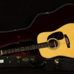 2023 Martin Guitars Custom Shop D-28