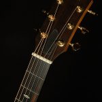 2024 Taylor Guitars 50th Anniversary GS Mini-e Rosewood SB LTD