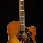 Modern Collection Hummingbird Standard EC