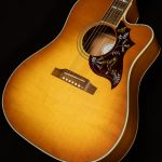 Modern Collection Hummingbird Standard EC