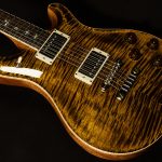 McCarty 594