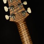 Wildwood Wood Library Modern Eagle V - Brazilian Rosewood, 10-Top