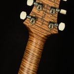 Wildwood Wood Library DGT - 10-Top, Brazilian Rosewood