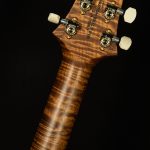 Wildwood Wood Library DGT - 10-Top, Brazilian Rosewood