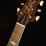 Wildwood Wood Library McCarty 594 - Brazilian Rosewood, 10-Top