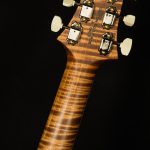 Wildwood Wood Library McCarty 594 - Brazilian Rosewood, 10-Top