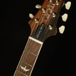 Wildwood Wood Library McCarty 594 - Brazilian Rosewood, 10 Top